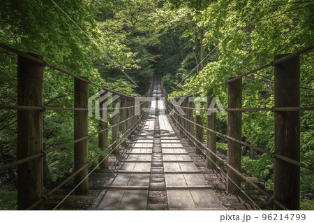 茨城県 花貫渓谷 新緑 96214799