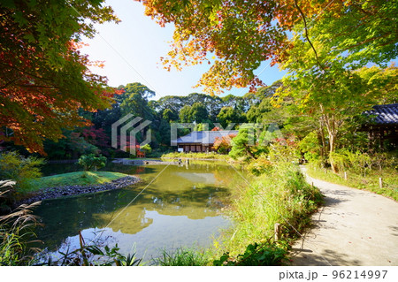 京都府木津川市・秋の浄瑠璃寺本堂 京都府木津川市・秋の浄瑠璃寺本堂 96214997