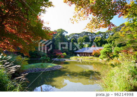 京都府木津川市・秋の浄瑠璃寺本堂 96214998