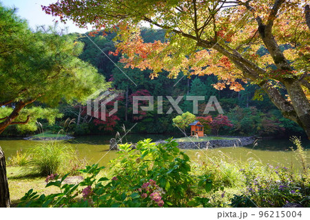 京都府木津川市・秋の浄瑠璃寺・紅葉の中の庭園 96215004