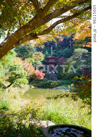 京都府木津川市・秋の浄瑠璃寺・紅葉の中の三重塔 96215005