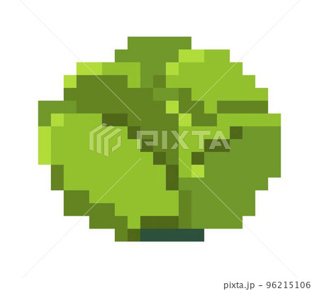 Pixel cabbage vegetable, product and greeneryのイラスト素材 [96215106] - PIXTA