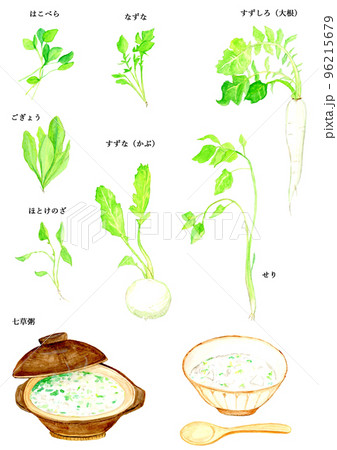 手描き水彩の春の七草と七草粥セット 手描き水彩の春の七草と七草粥セット 96215679