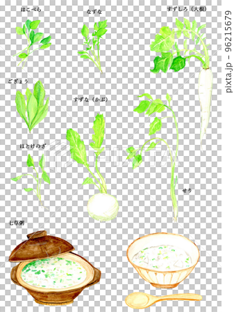 手描き水彩の春の七草と七草粥セット 手描き水彩の春の七草と七草粥セット 96215679