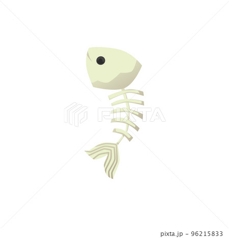 Fish bone leftovers or fish skeleton flat cartoon vector illustration isolated. 96215833