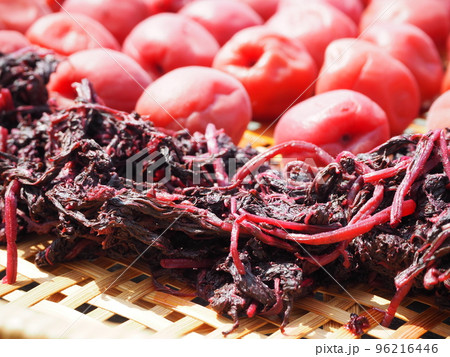 梅干し作り・赤紫蘇の土用干し 96216446