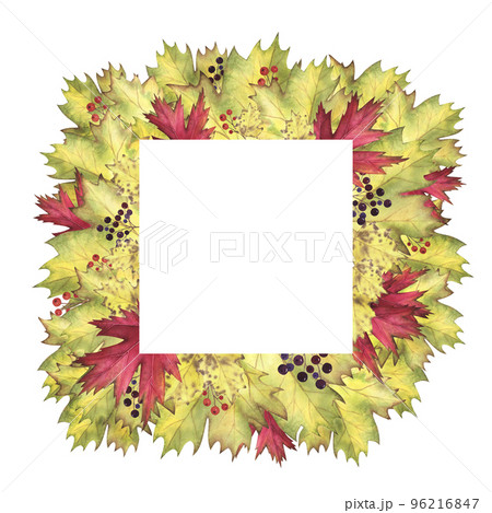 Square Wreath Autumn maple, poplar leaves and berries watercolor isolated on white. Hand drawn illustration for Frame 96216847