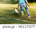little dog runs across the field from a man who plays with her 96217077