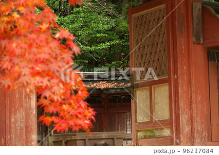 神護寺 紅葉越しの霊廟 神護寺 紅葉越しの霊廟 96217084