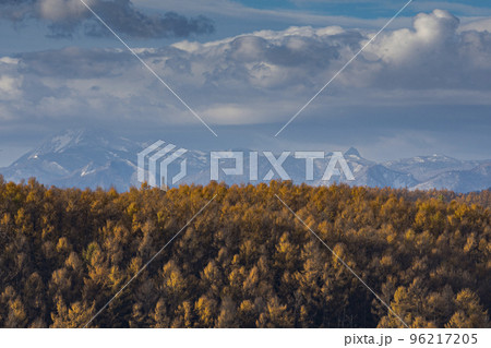 北海道 富良野 雪山 紅葉の写真素材 [96217205] - PIXTA