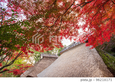 佐賀県秋の大興禅寺境内の紅葉 佐賀県秋の大興禅寺境内の紅葉 96218171