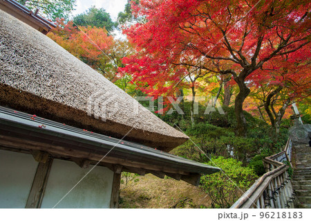 佐賀県秋の大興禅寺境内の紅葉 96218183