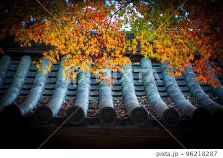 佐賀県秋の大興禅寺境内の紅葉 佐賀県秋の大興禅寺境内の紅葉 96218287