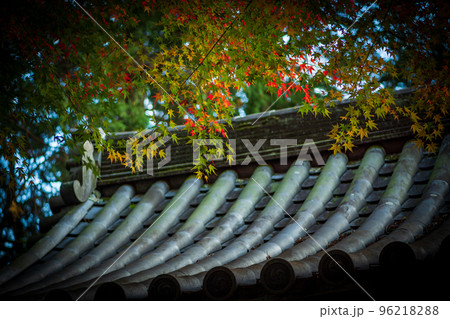 佐賀県秋の大興禅寺境内の紅葉 佐賀県秋の大興禅寺境内の紅葉 96218288