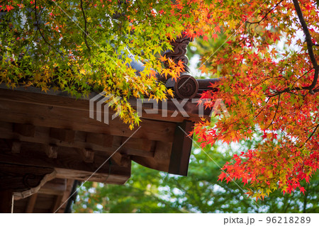 佐賀県秋の大興禅寺境内の紅葉 佐賀県秋の大興禅寺境内の紅葉 96218289
