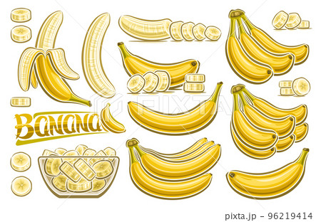 Vector Banana Set Vector Banana Set 96219414