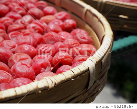 梅干作り・土用干しの干しザル 梅干作り・土用干しの干しザル 96219567