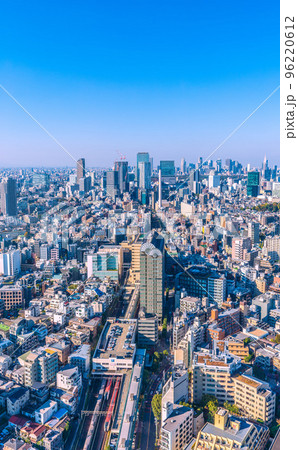 日本の東京都市景観 恵比寿駅や珍景・N`EXなど3電車揃い踏み（N`EX2電車・山手線）などを望む 96220612