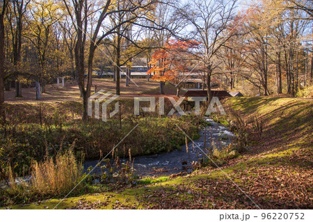 セゾン現代美術館近くの紅葉(軽井沢) セゾン現代美術館近くの紅葉(軽井沢) 96220752