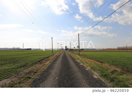 北海道 十勝地方 牧場のある風景 北海道 十勝地方 牧場のある風景 96220859