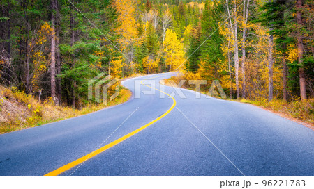 The road through the woods. Asphalt road and turns between trees. The forest background. 96221783