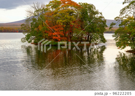大沼の紅葉と小島 大沼の紅葉と小島 96222205