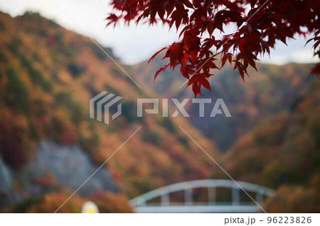 瑞牆湖畔の紅葉 瑞牆湖畔の紅葉 96223826