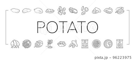 potato sweet food yam orange icons set vector 96223975