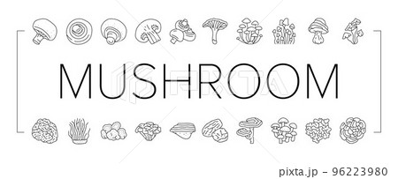 mushroom food forest fungi icons set vector mushroom food forest fungi icons set vector 96223980
