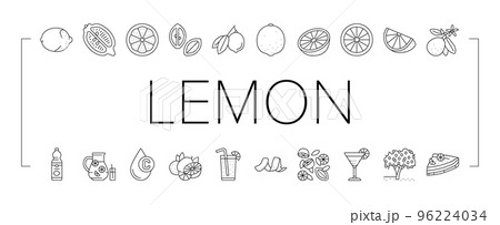 Lemon And Lime Vitamin Citrus Icons Set Vector 96224034