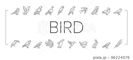 Bird Flying Animal With Feather Icons Set Vector 96224076