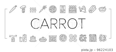Carrot Vitamin Juicy Vegetable Icons Set Vector 96224103