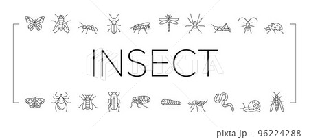 Insect, Spider And Bug Wildlife Icons Set Vector . Insect, Spider And Bug Wildlife Icons Set Vector . 96224288