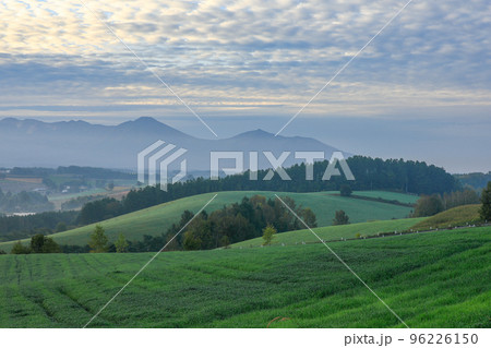 【北海道美瑛町】十勝岳連邦と丘の風景 96226150