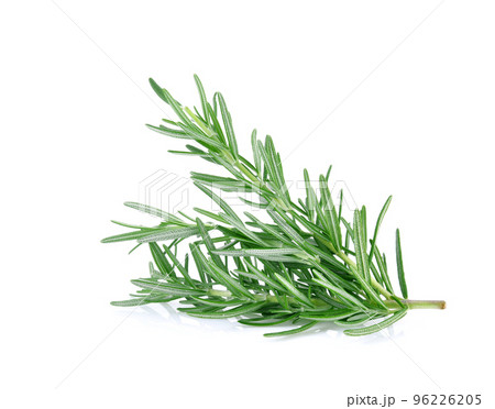 Rosemary isolated on white background Rosemary isolated on white background 96226205