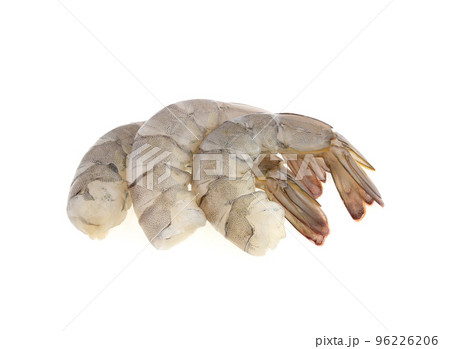 fresh shrimp prawn isolated on white background fresh shrimp prawn isolated on white background 96226206