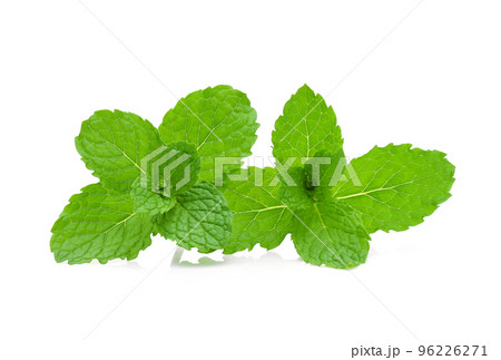Fresh mint isolated on the white background. 96226271