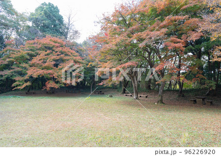 都立滝山公園の金毘羅社（東京都八王子市） 96226920