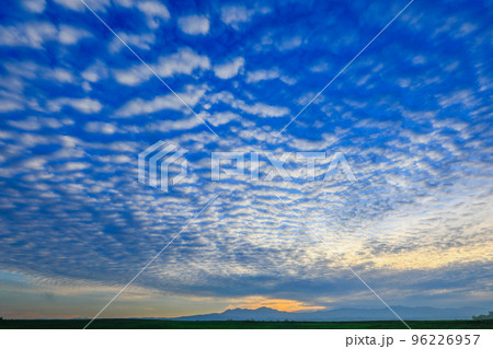【北海道美瑛町】丘とうろこ雲 96226957