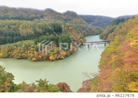 紅葉の只見線を走る列車 紅葉の只見線を走る列車 96227676