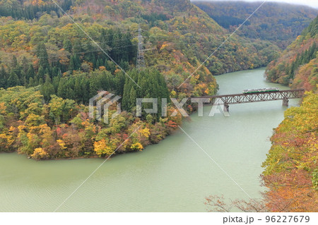紅葉の只見線を走る列車 紅葉の只見線を走る列車 96227679