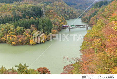 紅葉の只見線を走る列車 紅葉の只見線を走る列車 96227685