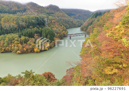 紅葉の只見線を走る列車 紅葉の只見線を走る列車 96227691
