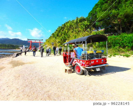 トゥクトゥク/宮崎県 96228145