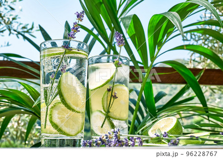 Cool lavender lemonade with lime slices and lavender flower on the table in tropical garden with palm. Healthy organic summer soda drink. Detox water. Diet unalcolic coctail. Cool lavender lemonade with lime slices and lavender flower on the table in tropical garden with palm. Healthy organic summer soda drink. Detox water. Diet unalcolic coctail. 96228767