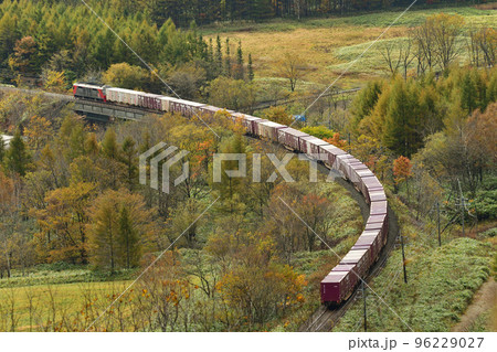 狩勝峠を走る貨物列車 狩勝峠を走る貨物列車 96229027