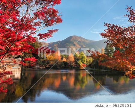 由布岳と金鱗湖と紅葉の自然風景（大分県由布市湯布院町の観光地） 96229251