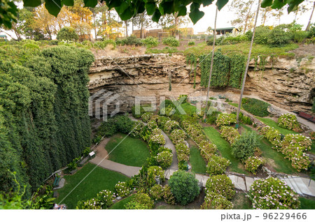 マウントガンビアの陥没穴の美しい庭園 96229466