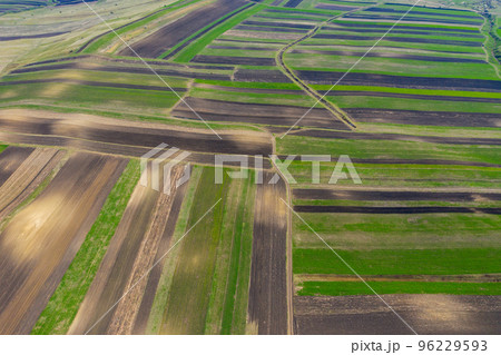 Aerial drone view of agricultural fields of plowed crops Aerial drone view of agricultural fields of plowed crops 96229593
