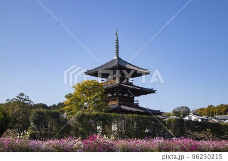 法起寺とコスモス 法起寺とコスモス 96230215